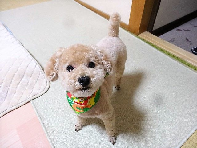 イメージ 1