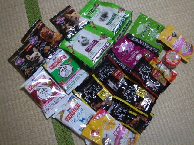 イメージ 7