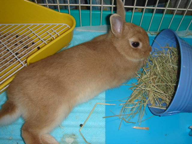 イメージ 4