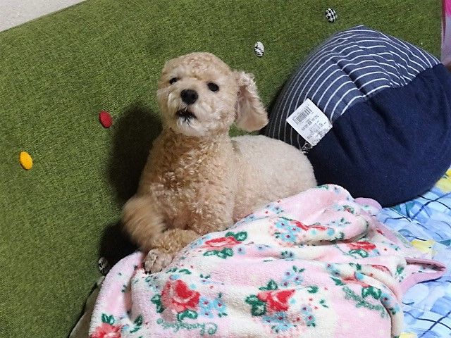 イメージ 2