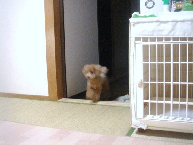 イメージ 5