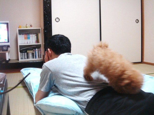 イメージ 6