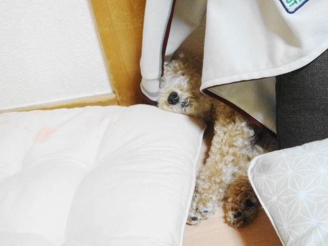イメージ 2
