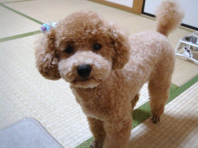 イメージ 3