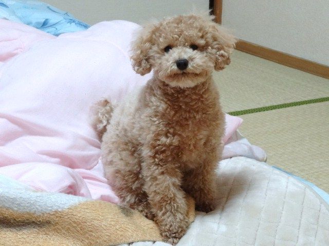 イメージ 2