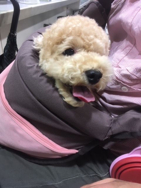 イメージ 7