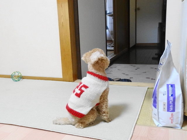 イメージ 3