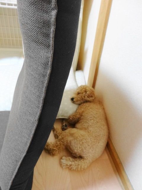 イメージ 2