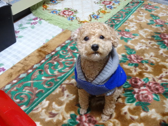 イメージ 4