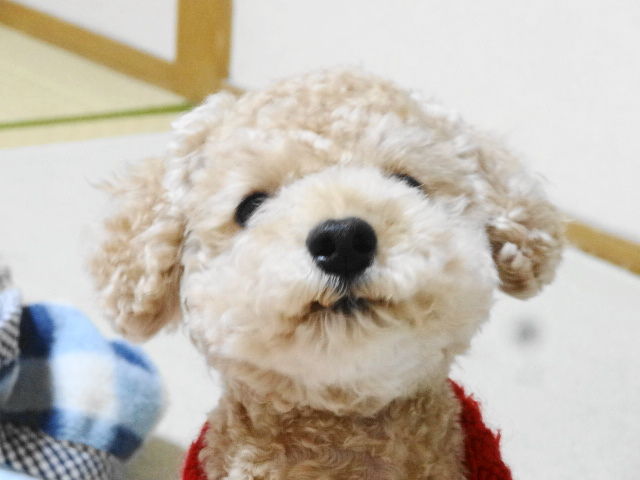 イメージ 8