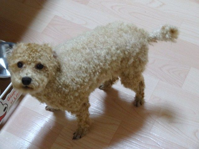 イメージ 13