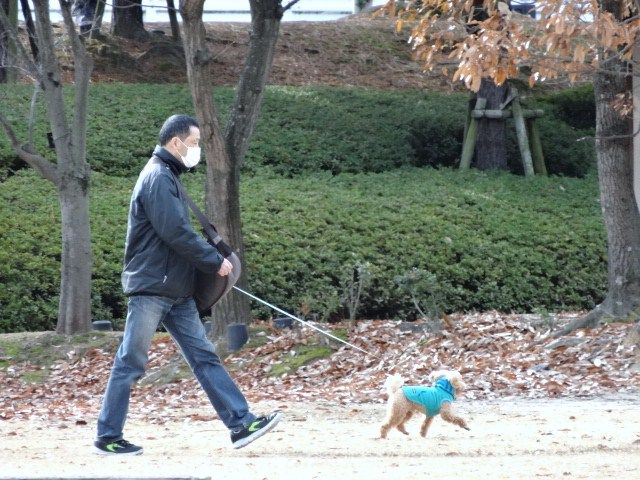 イメージ 8