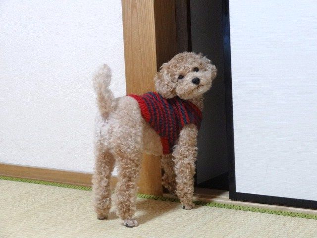イメージ 3