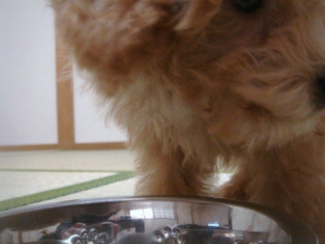 イメージ 6