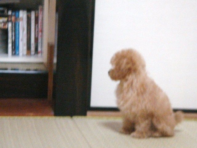 イメージ 6