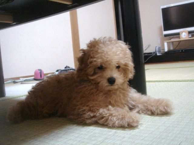 イメージ 2