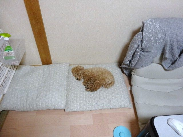 イメージ 6
