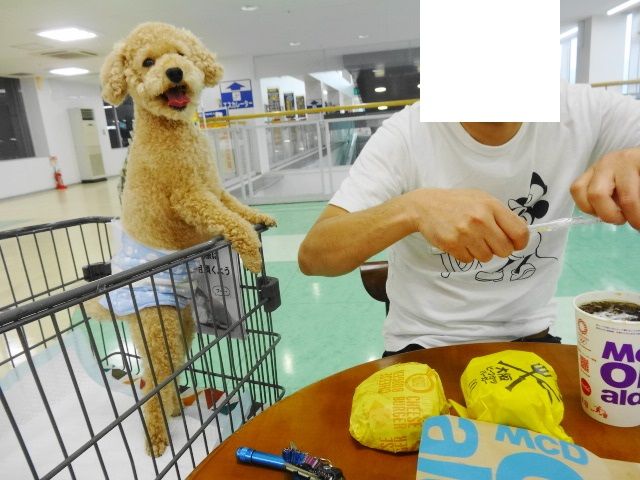 イメージ 9