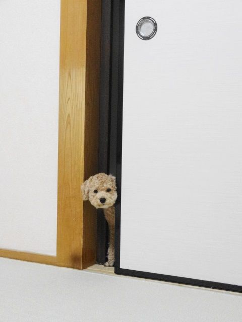 イメージ 1