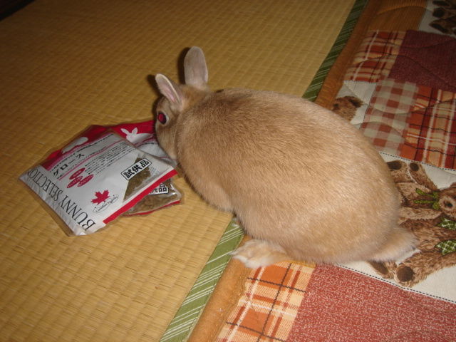 イメージ 3