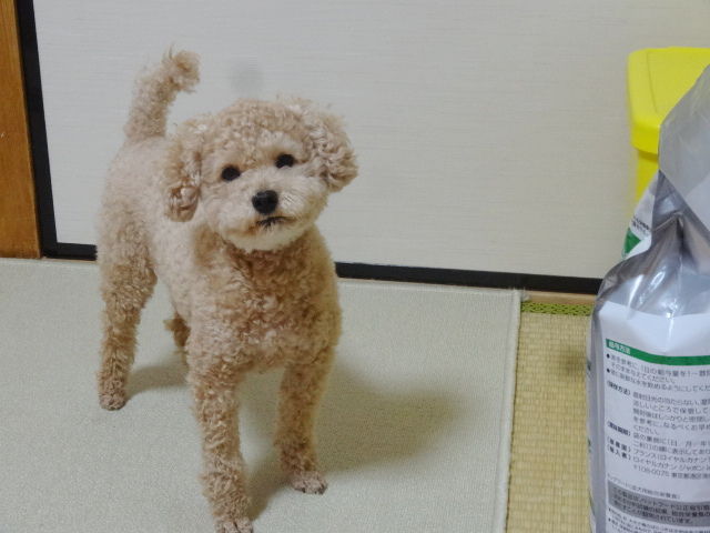 イメージ 3
