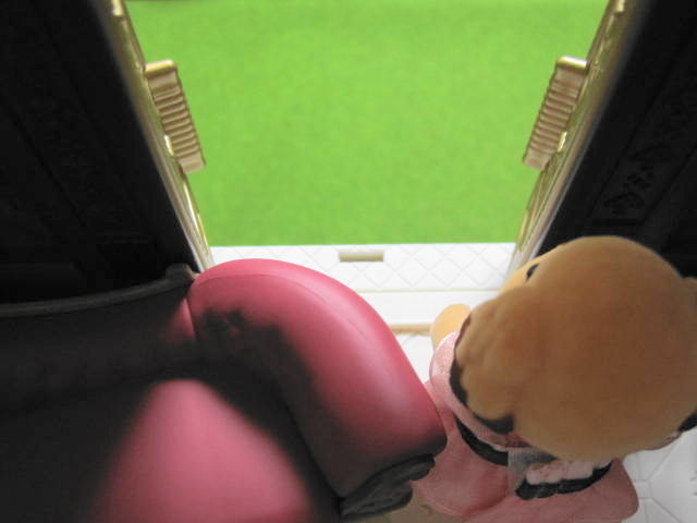 イメージ 7