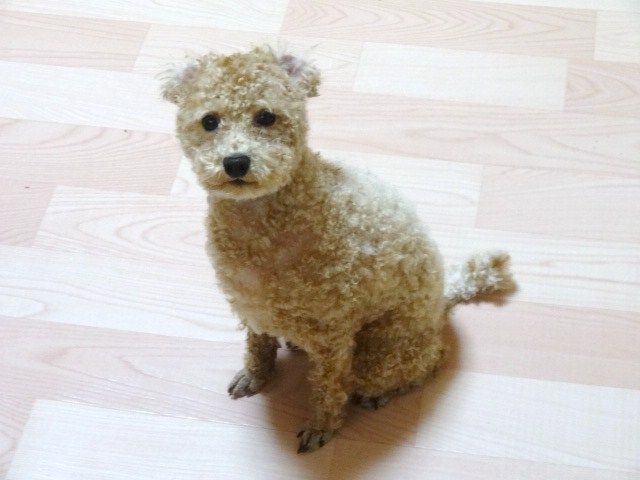 イメージ 4