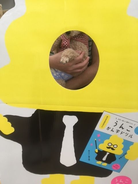 イメージ 8
