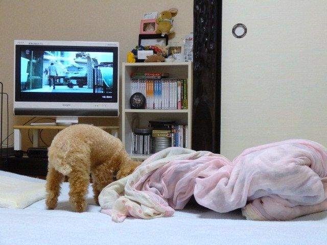 イメージ 2
