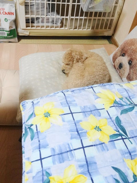 イメージ 2