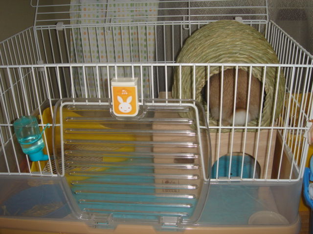 イメージ 3