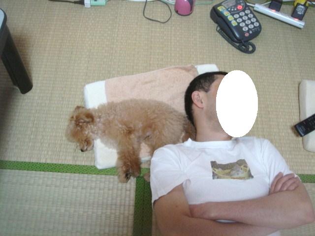 イメージ 2