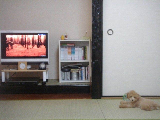 イメージ 1