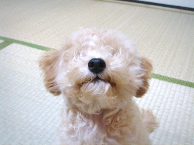 イメージ 3