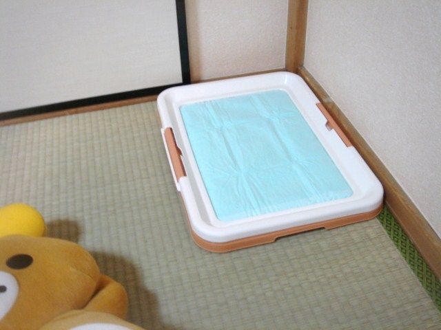 イメージ 7