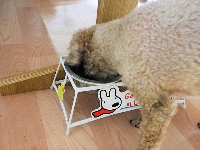イメージ 6