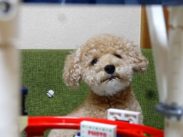 イメージ 9