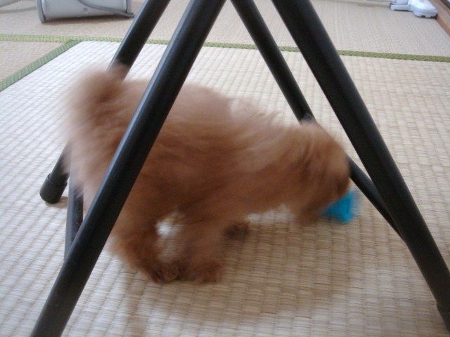 イメージ 5