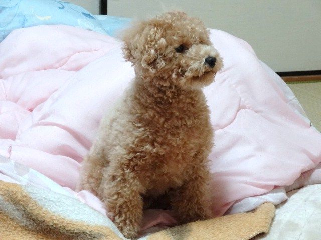 イメージ 6