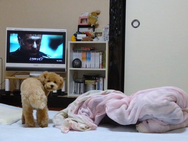 イメージ 1