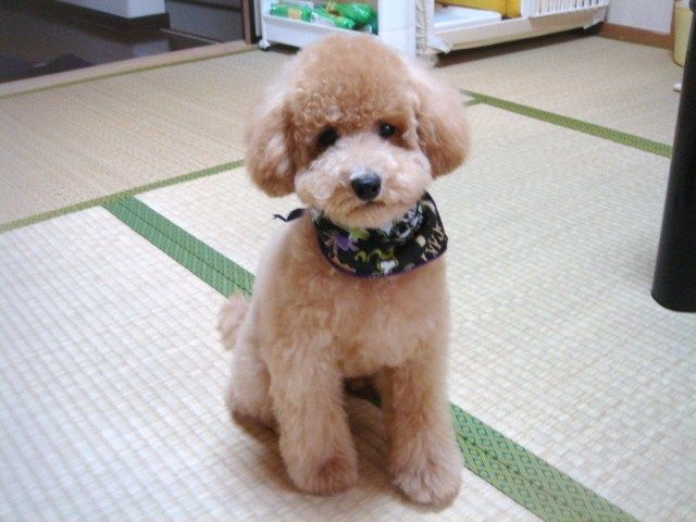 イメージ 3