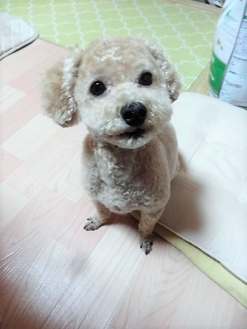イメージ 2