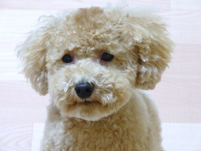 イメージ 14