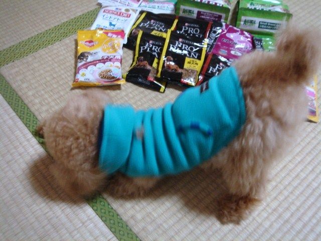 イメージ 12
