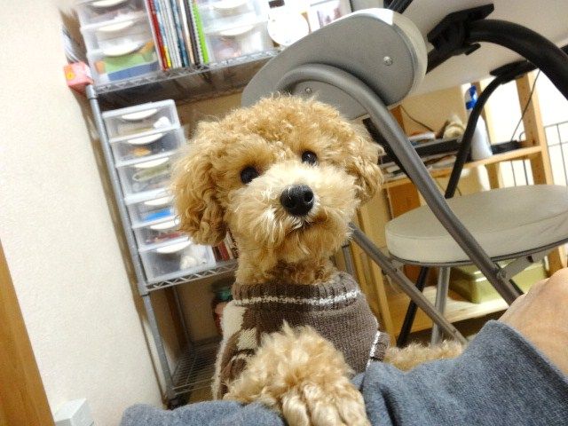 イメージ 1