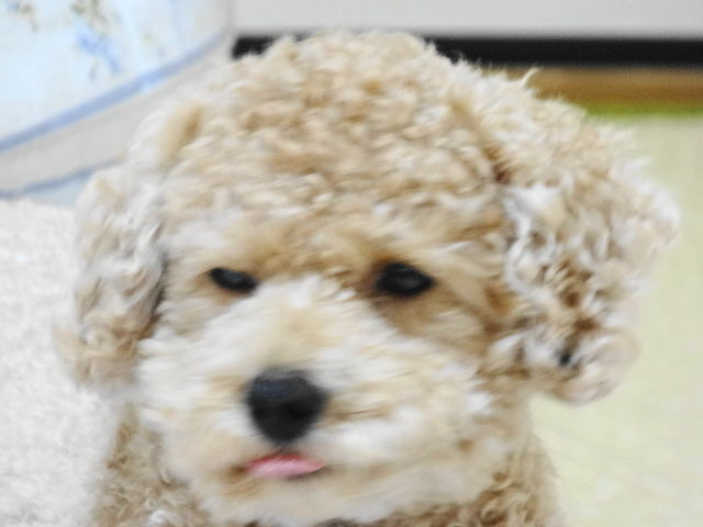 イメージ 2