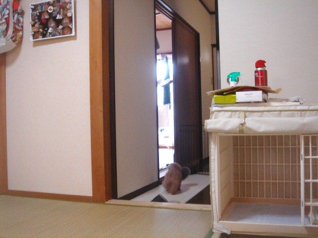 イメージ 5