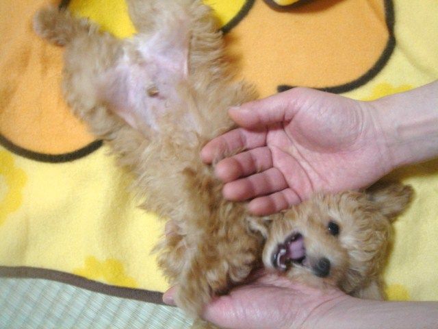 イメージ 1
