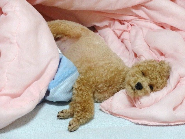 イメージ 2
