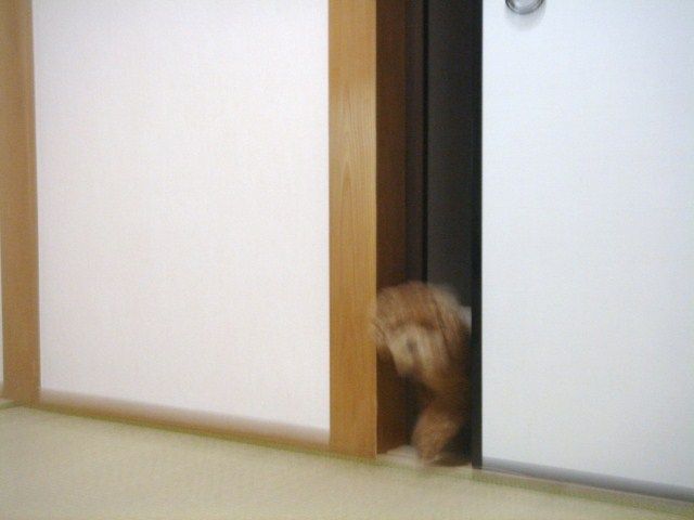イメージ 9